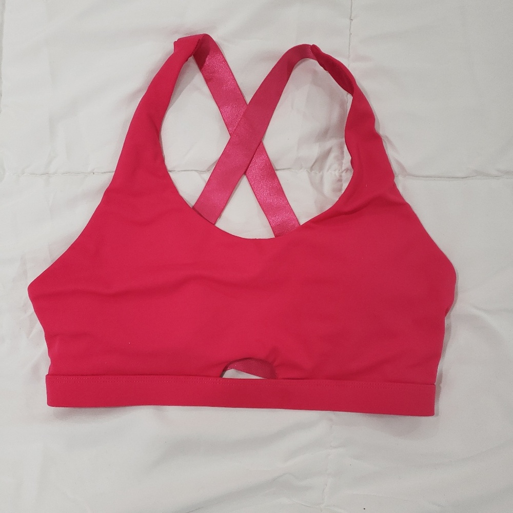 Fabletics  Electra Sport Bra